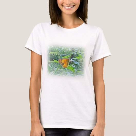 T-shirt Papillon Sulpher (Devant)