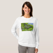 T-shirt Papillon sur fond vert (Devant entier)