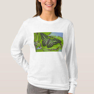 T-shirt Papillon sur fond vert