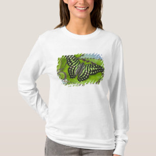 T-shirt Papillon sur fond vert