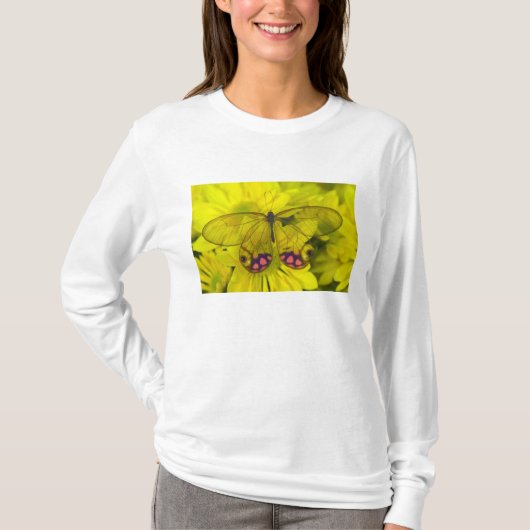 T-shirt Papillon sur jaune (Devant)
