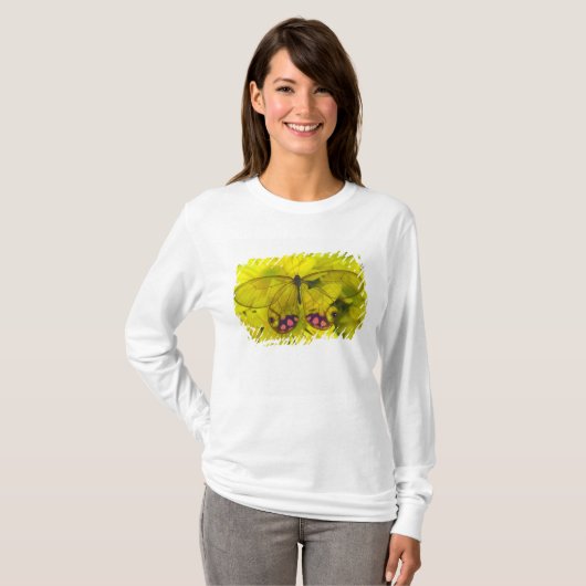 T-shirt Papillon sur jaune (Devant entier)