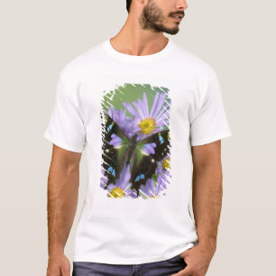T-shirt Papillon sur Violet