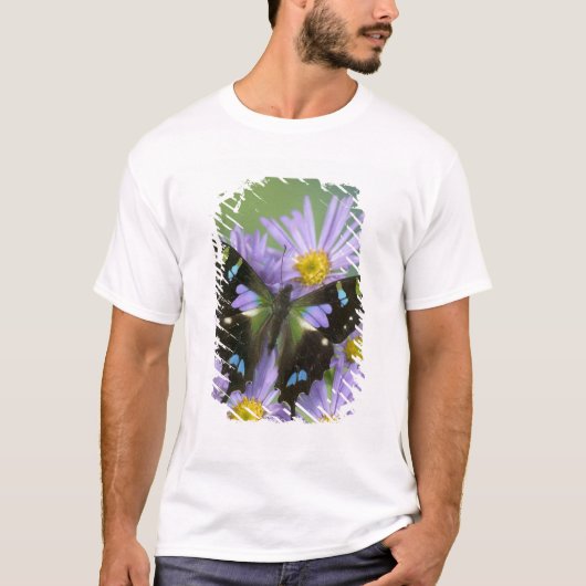T-shirt Papillon sur Violet (Devant)