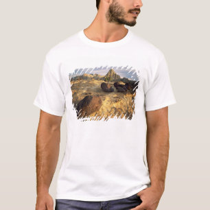 T-SHIRT PARC NATIONAL DE CAPITOL REEF, UTAH. ÉTATS-UNIS.