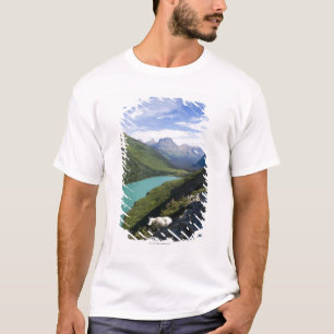 T-shirt Parc national de glacier, Montana