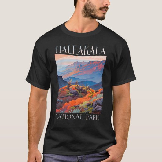 T-shirt Parc national de Haleakala Maui Hawaii Randonnée n (Devant)