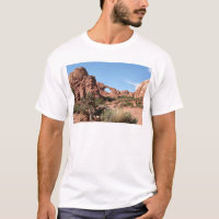 Parc national de voûtes, près de Moab, l'Utah,