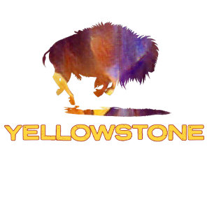 T-shirt Parc national de Yellowstone avec ours