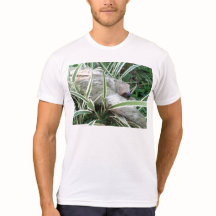 paresse avec le pix arrière stylisé