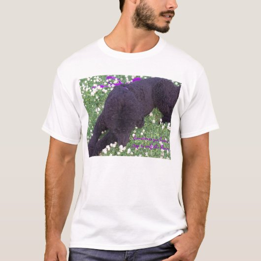 T-shirt Parfois vous hav… (Devant)