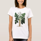 T-shirt Parsnip 3 (Devant)