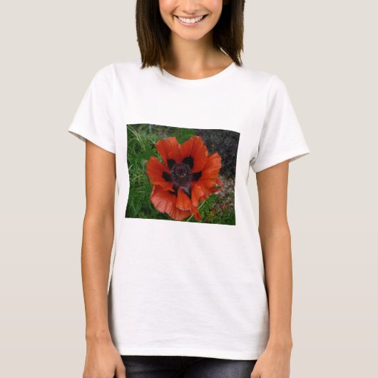 T-shirt pavot d'Orient (Devant)