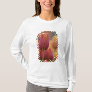 T-shirt Pays-Bas aka Holland), Lisse. Keukenhof 6