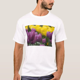 T-shirt Pays-Bas aka Hollande), Lisse. Keukenhof 10