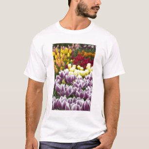 T-shirt Pays-Bas aka Hollande), Lisse. Keukenhof 3