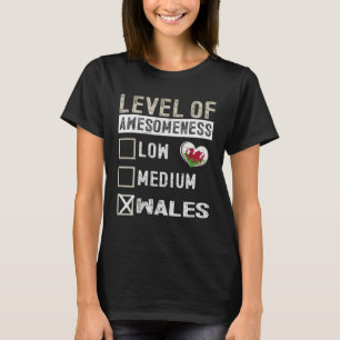T-shirt Pays De Galles Drapeau Gallois Niveau De Compréhen