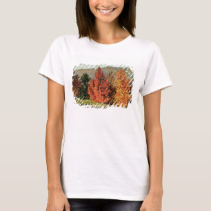 T-shirt Paysage d'automne, c.1903 (huile sur la toile)