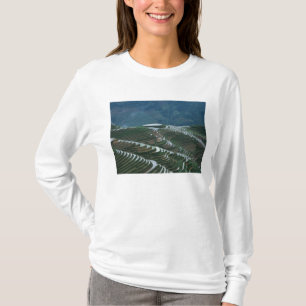 T-shirt Paysage des terrasses de riz dans la montagne, 2