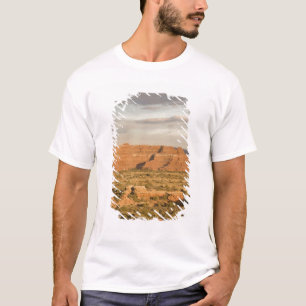T-shirt Paysage désertique hivernal panoramique en route v