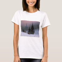 Paysage d'hiver (par Caspar David Friedrich)