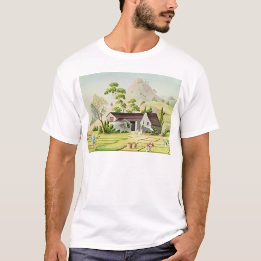 T-shirt Paysans dans les rizières (Devant)