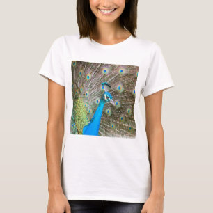 T-shirt Peacock with Feathers Out - Homme Bird - Photo
