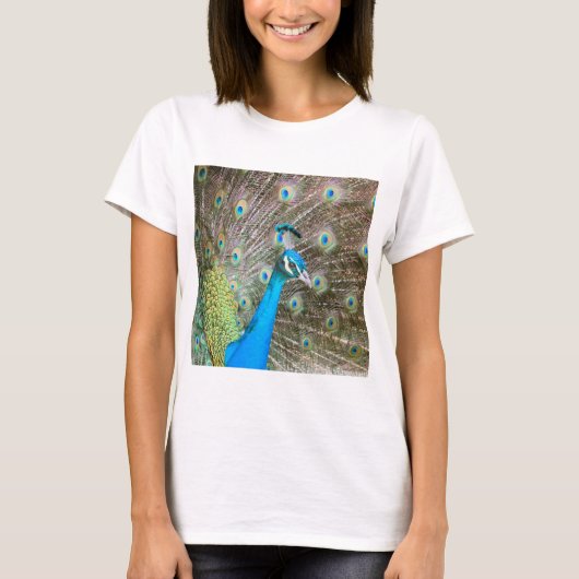 T-shirt Peacock with Feathers Out - Homme Bird - Photo (Devant)