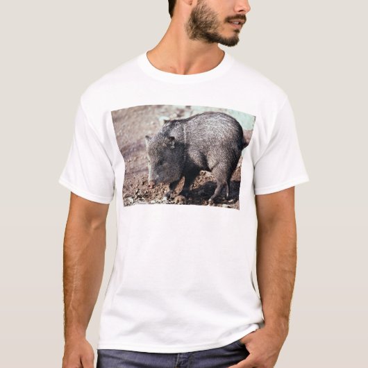 T-shirt Peccary colleté (javelina) (Devant)