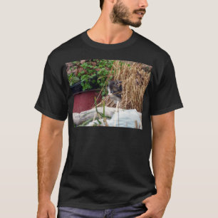 T-shirt Peek-a-Boo