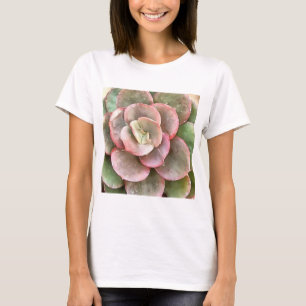 T-shirt Peinture acrylique Succulente Echeveria Cactus