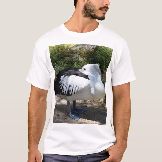 T-shirt Pelican Cat Napping Se Levant, (Devant)
