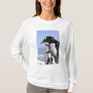 T-shirt Péninsule Antarctique, Neko Harbour, Gentoo