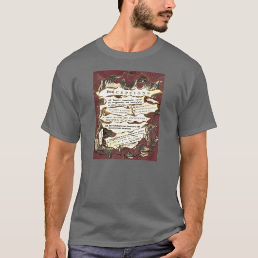 T-shirt Perceptions (Devant)