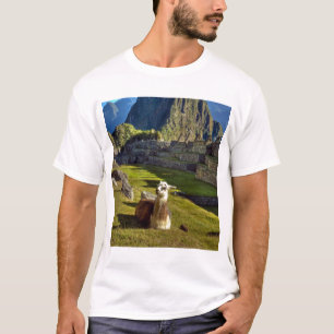 T-shirt Pérou, Andes, Montagnes des Andes, Machu Picchu