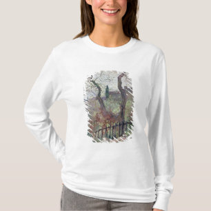 T-shirt Pérouse, Ombrie, 1894