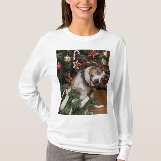 T-shirt Perro Festivo: Listo para el Árbol (Devant)