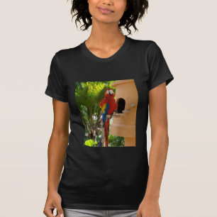 T-shirt perroquet 5