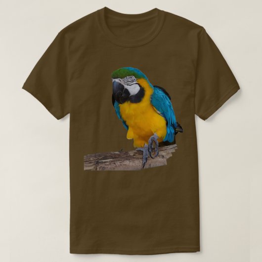 T-shirt Perroquet bleu or (Design devant)