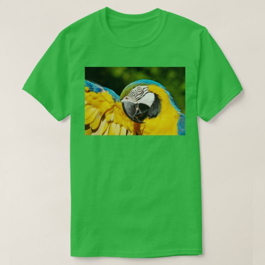 T-shirt Perroquet vert ambre jaune (Design devant)