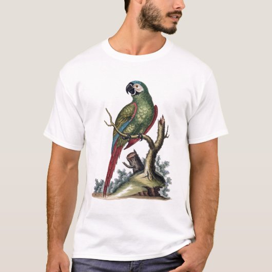 T-shirt Perroquet vert antique (Devant)
