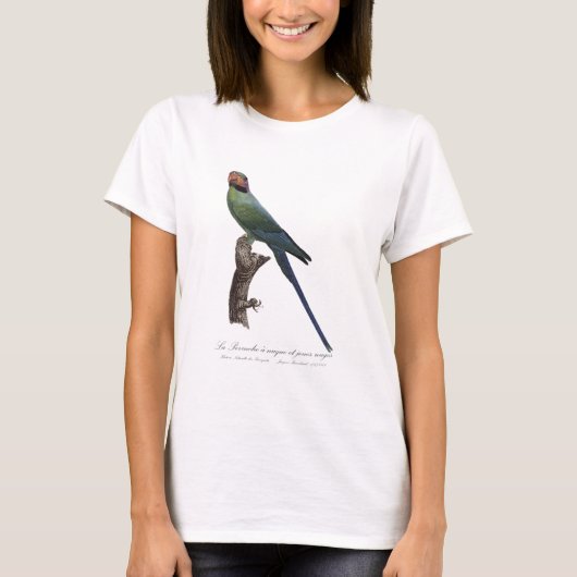 T-shirt Perruche à longue queue, Psittacula Longicauda (Devant)