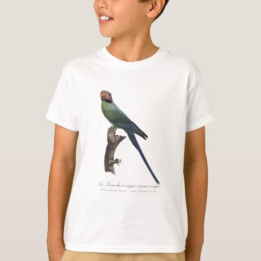 T-shirt Perruche à longue queue, Psittacula Longicauda (Devant)