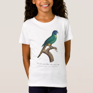 T-Shirt Perruche a tete bleue / Rainbow lorikeet, juvénile