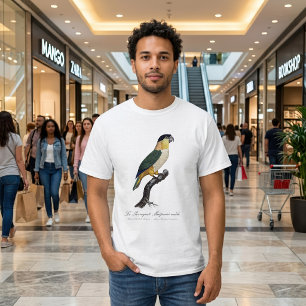 T-shirt Perruche à tête noire mâle, Pionites melanocephalu