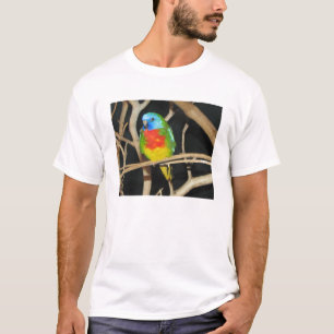 T-shirt Perruche Écarlate-Chested - splendida de Neophema