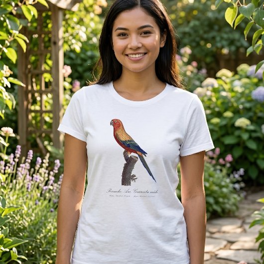 T-shirt Perruche soleil mâle, Aratinga solstitialis