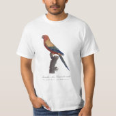 T-shirt Perruche soleil mâle, Aratinga solstitialis (Devant)