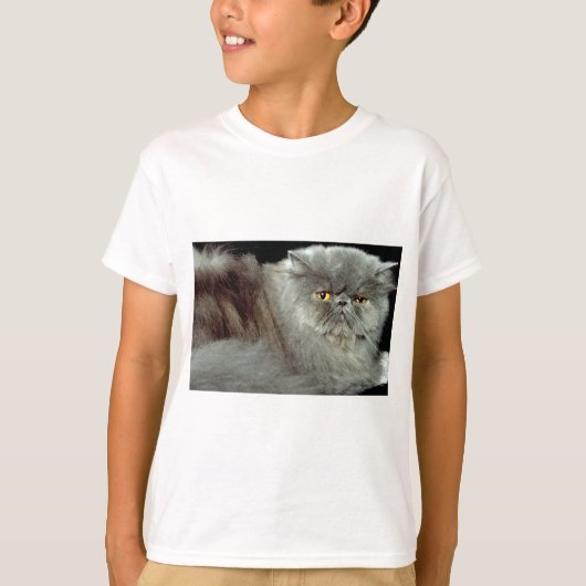 T-shirt Perse bleu (Devant)