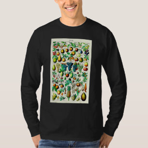 T-shirt Persimmons Fruits Vintage Fruit Art Imprimés Botan